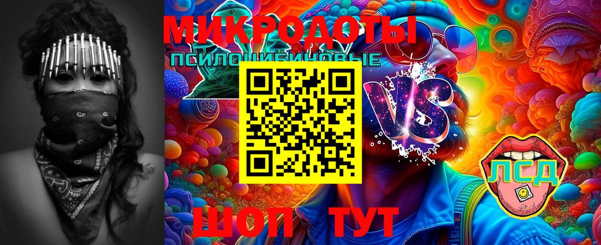 Псилоцибиновые грибы GOLDEN TEACHER  Псилоцибиновые грибы Cubensis  Вход с VPN  Сосновоборск 