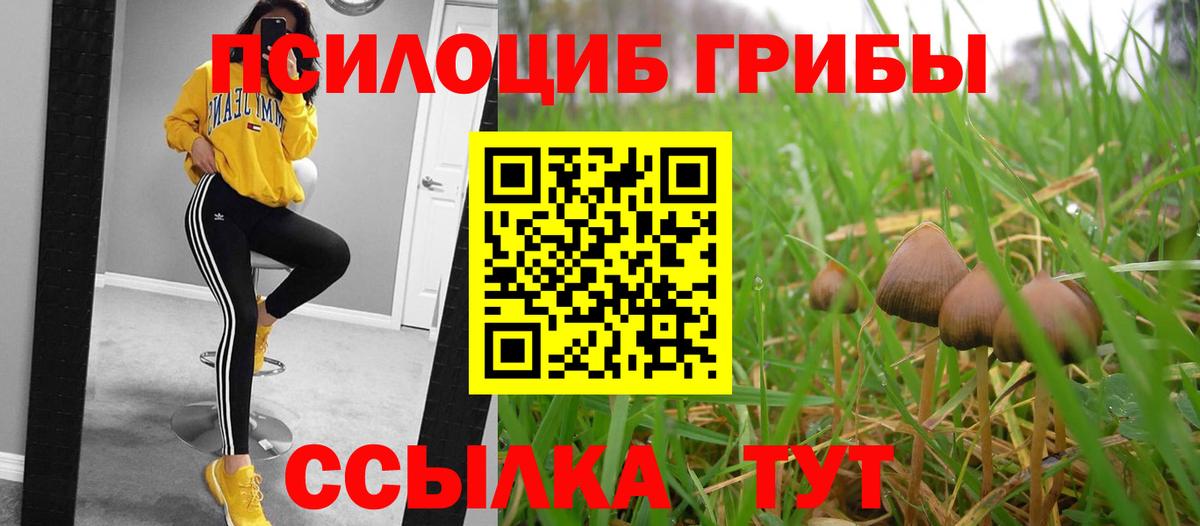 Галлюциногенные грибы мухоморы Сосновоборск